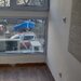 Universitate, Ion Campineanu,